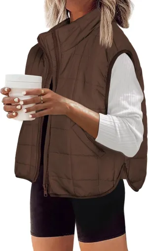 Zeagoo Womens Puffer Vest Ladies Sleeveless Zip Up Outerwear Warm Puffer Lightweight Down all Winter Jackets Coats 2024